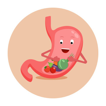 Strong healthy happy stomach character with vegetables. Vector flat cartoon illustration icon design. Isolated on white background. Healthy food nutrition