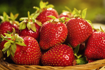 strawberries in basket, strawberry basket, strawberries on wooden table, strawberry, basket with strawberries, strawberries in natural background,fruit concept,fresh strawberry