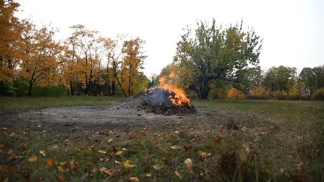 a bonfire in a clearing in the forest