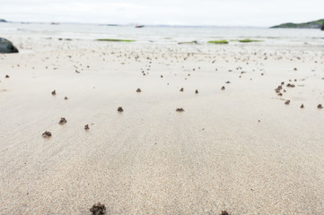 White sandy beach in Scotland
