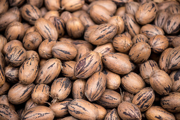 Pecan Nuts Pattern