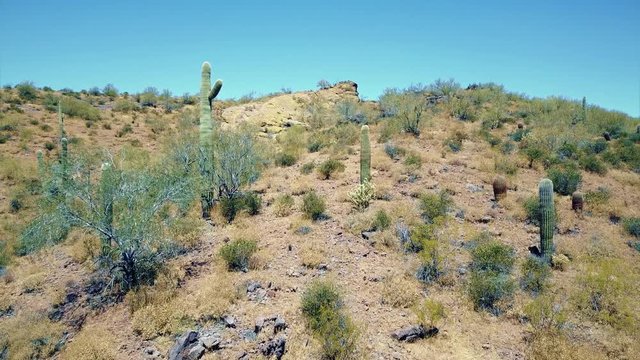 รูปภาพQuartzsite เลือกดูภาพถ่ายสต็อก เวกเตอร์ และวิดีโอ196 Adobe Stock