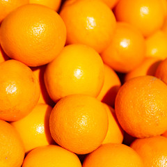 in the market lots   of fresh orange