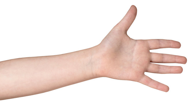 The left hand of the child, isolated on a white background