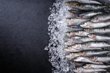 Foto auf Glas Raw sardine on ice offered as top view on a black slate wih copy space left © HLPhoto