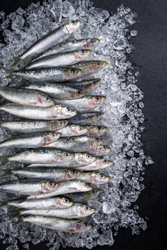 Raw sardine on ice offered as top view on a black slate