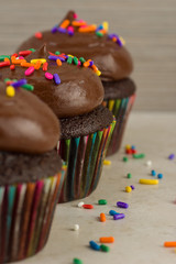 Chocolate Cupcake With Choclolate Frosting and Colorful Sprinkles