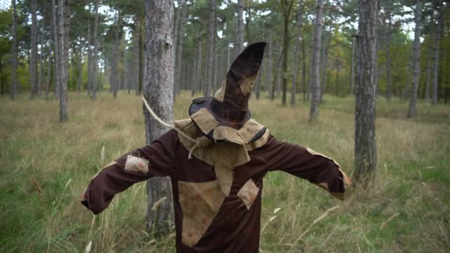 Horror bonded Scarecrow standing in the forest with Sackcloth Mask