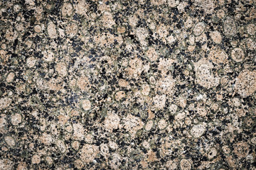 An old real wall texture & colored background