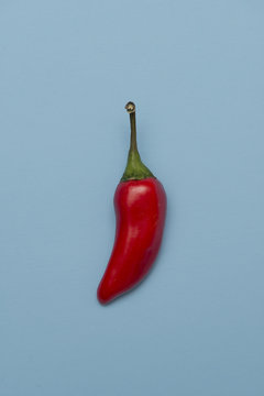 Red Hot Chili Pepper