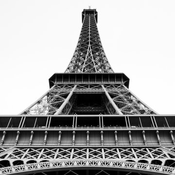 Black and White Vintage Film Medium Format Photograph of the Eiffel Tower Paris France