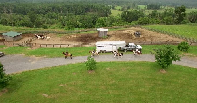Four female horseback riders walking their Tennessee Walking horses on a driveway with a horse trailer and paddock with horses in it beside the driveway, or gravel trail.