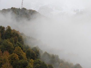 Panorama of the foggy winter landscape