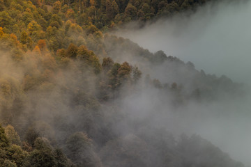 Panorama of the foggy winter landscape