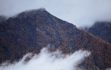 Panorama of the foggy winter landscape