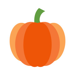 Isolated Pumpkin Vector Illustration on White Background 1