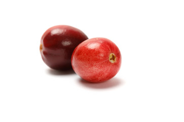 Obraz premium red cranberry fruit