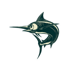 Atlantic Blue Marlin Scraperboard