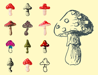 Amanita fly agaric toadstool mushrooms fungus different art style design vector illustration red hat