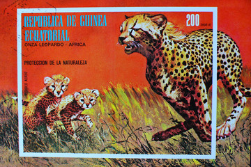 Postage stamp africa equatorial guinea leopard series animal world