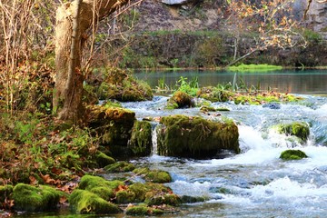 Spring - Alley Springs