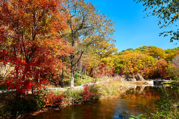 Obraz premium The colorful mountains and lake