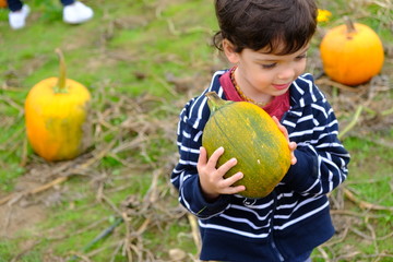 Fototapeta premium boy in pumpkin patch