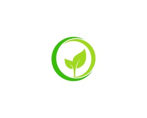 Green Eco Concept