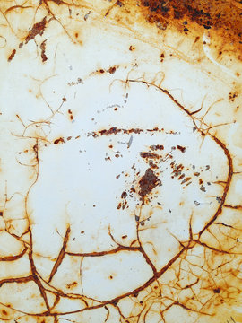Detail of cracks and rust on metal container
