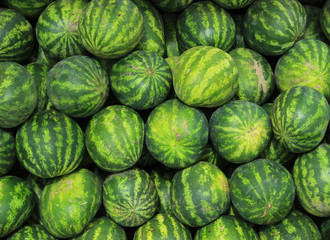 Watermelons at the Market