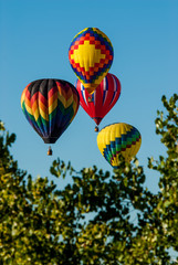 Balloons and Trees