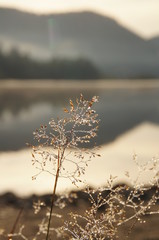 Sommermorgen in Norwegen