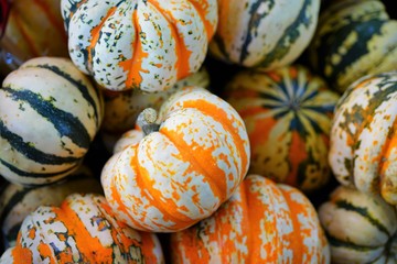 Yellow, orange and green striped sweet dumpling squash in bulk at the farmers market in the fall