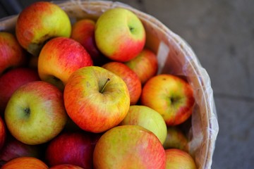 Fresh red and yellow apples in barrels at the farmers market in the fall