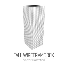 Tall vertical rectangle box. Retail wireframe poly mesh vector illustration concept