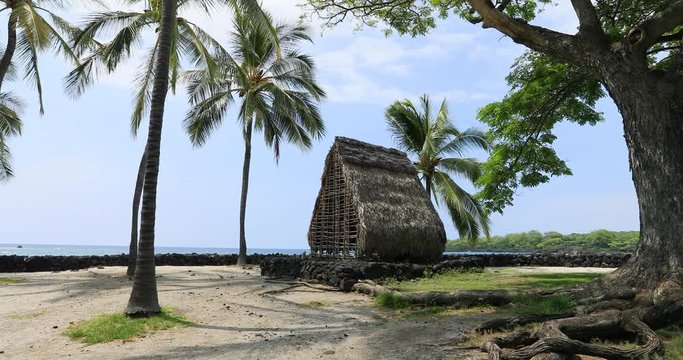 Native Hut Pu uhonua o Hanaunau historical park Hawaii. Tropical wonderland. Big Island, largest, most volcanic active location. Economy is tourism based. Water and tropical beach recreation and fun.