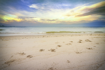 footprints on the sand beach sunset sky