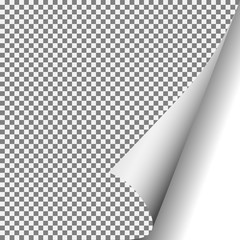 Paper blank page curled corner with shadow