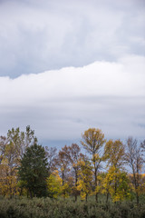 Fototapeta premium Rainy Clouds over Fall Trees