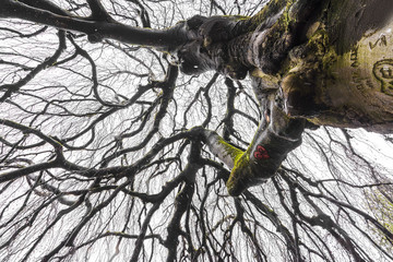 Ver&auml;stelung im Herzen der Liebe