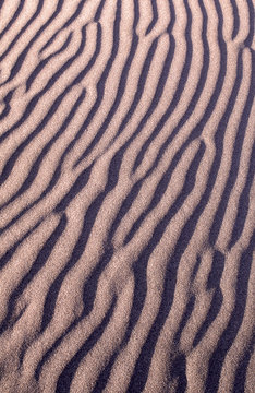 sand dune patterns pacific coast afternoon light