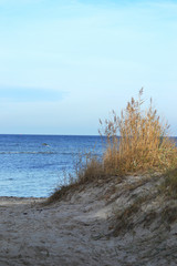 View over dunes to the Baltic Sea on the island of Poel, Germany.