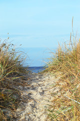 View over dunes to the Baltic Sea on the island of Poel, Germany.