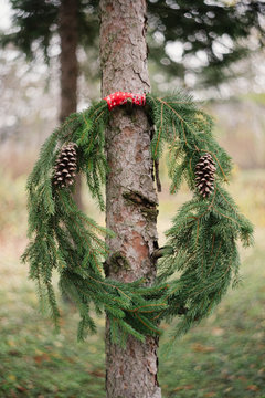Christmas wreath on tree