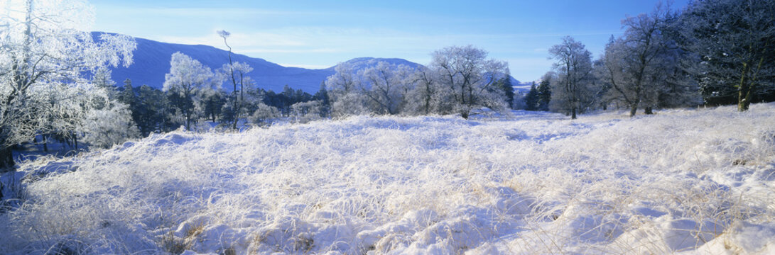 Loch Tulla, Argyll and Bute, Scotland, UK