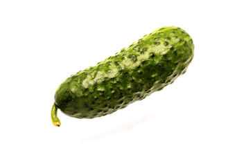 Green cucumber on white background