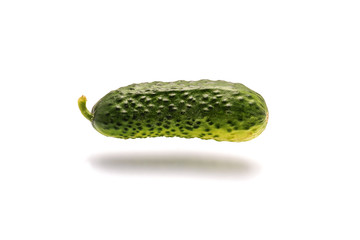 Green cucumber on white background