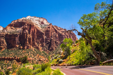 Summer trip to scenic Zion National Park, Utah, USA