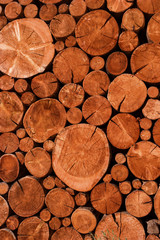 Natural wooden logs cut and stacked in pile, felled by the logging timber industry,