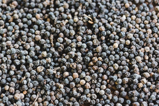 pepper